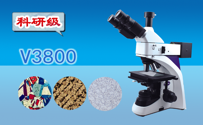 金相草莓视频污在线下载调焦有哪些步骤？