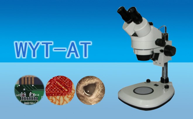 1666155937142978.jpg 体视草莓视频污在线下载1.jpg