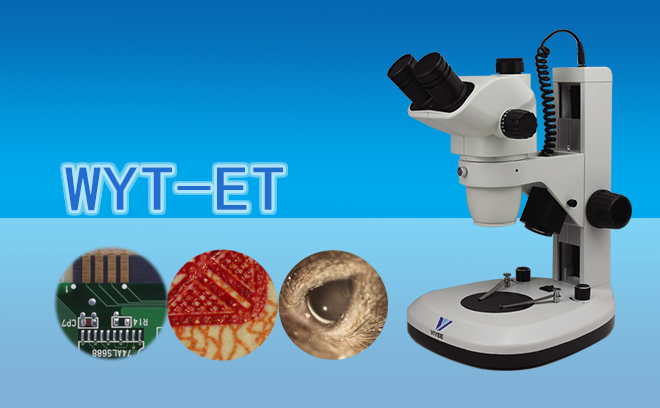 1666767831357407.png 体视草莓视频污在线下载.png